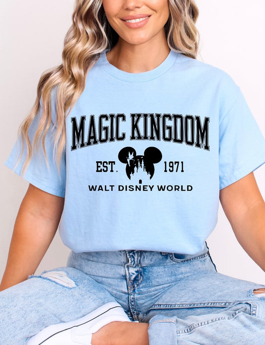 WDW Parks - Tee’s & sweatshirts Unisex All Sizes